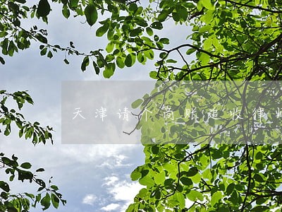 天津请个商账追收律师费用 天津请个商账追收律师费用