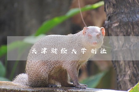 天津财经大学刑法 天津财经大学刑法