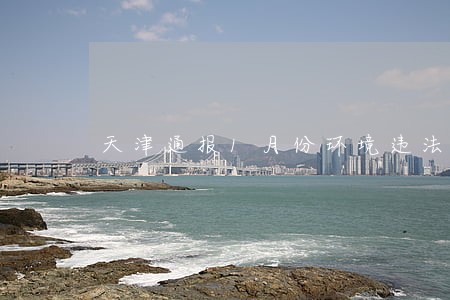 天津通报1月份环境违法查处情况 天津通报1月份环境违法查处情况
