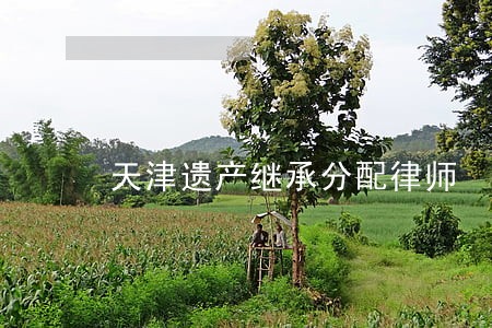 天津遗产继承分配律师 天津遗产继承分配律师