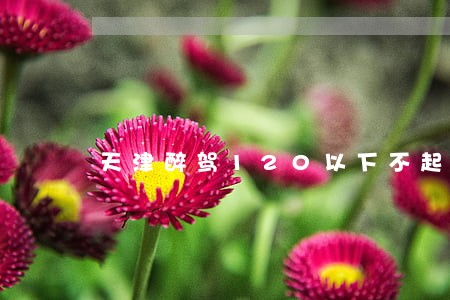 天津醉驾120以下不起诉 天津醉驾120以下不起诉