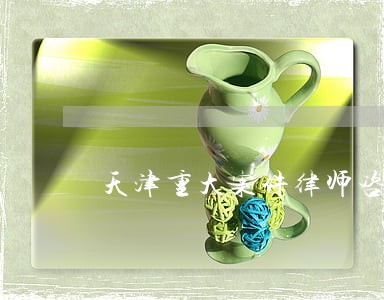 天津重大案件律师咨询 天津重大案件律师咨询