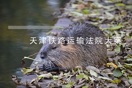 天津铁路运输法院大案 天津铁路运输法院大案
