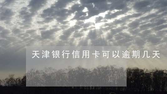 天津银行信用卡可以逾期几天