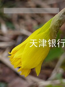天津银行信用卡没激活逾期 天津银行信用卡没激活逾期