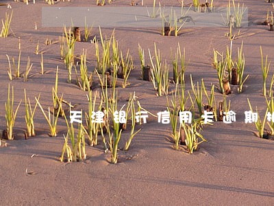 天津银行信用卡逾期扣钱 天津银行信用卡逾期扣钱