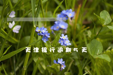 天津银行逾期5天