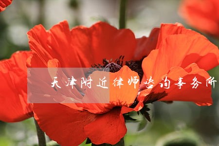 天津附近律师咨询事务所 天津附近律师咨询事务所