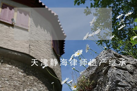 天津静海律师遗产继承 天津静海律师遗产继承