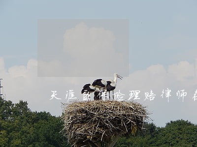 天涯区保险理赔律师在线免费咨询