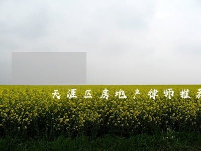 天涯区房地产律师推荐 天涯区房地产律师推荐