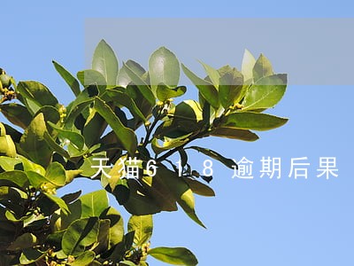 天猫618逾期后果 天猫618逾期后果