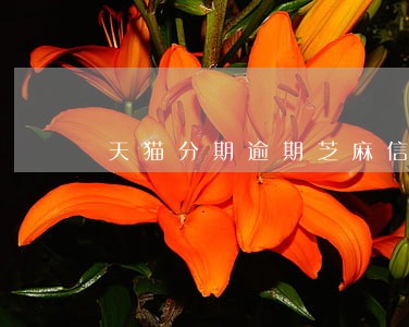 天猫分期逾期芝麻信用 天猫分期逾期芝麻信用