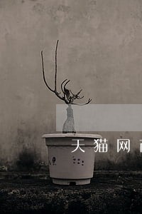 天猫网商贷款逾期 天猫网商贷款逾期