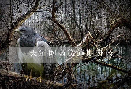 天猫网商贷逾期协商 天猫网商贷逾期协商