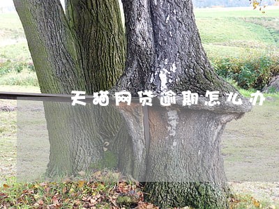 天猫网贷逾期怎么办 天猫网贷逾期怎么办