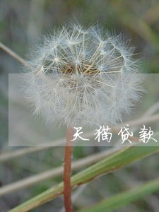 天猫贷款逾期10天 天猫贷款逾期10天