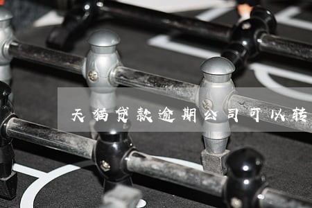 天猫贷款逾期公司可以转让吗 天猫贷款逾期公司可以转让吗