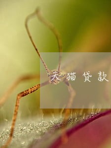 天猫贷款逾期多久会被监管 天猫贷款逾期多久会被监管
