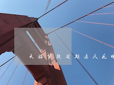 天猫贷款逾期法人花呗用不了 天猫贷款逾期法人花呗用不了
