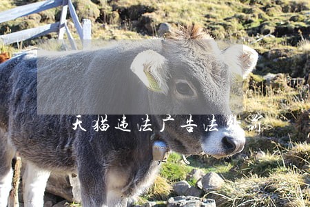天猫违法广告法处罚