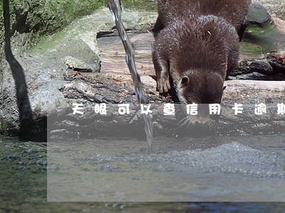 天眼可以查信用卡逾期吗 天眼可以查信用卡逾期吗
