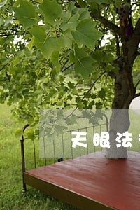 天眼法律咨询APP法人 天眼法律咨询APP法人