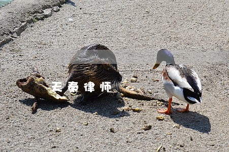 天秦律师 天秦律师