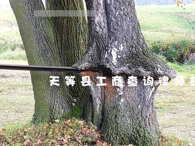 天等县工商查询律师在线免费咨询 天等县工商查询律师在线免费咨询