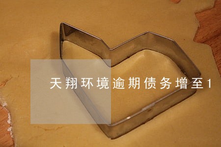 天翔环境逾期债务增至10亿 天翔环境逾期债务增至10亿