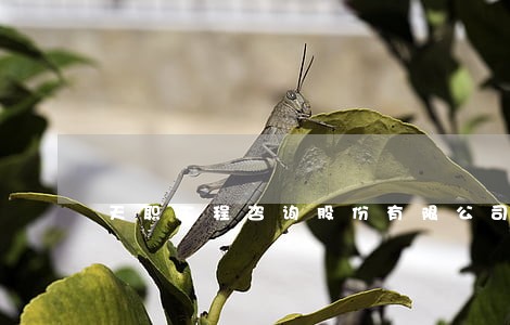 天职工程咨询股份有限公司 天职工程咨询股份有限公司