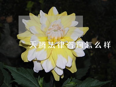 天腾法律咨询怎么样 天腾法律咨询怎么样