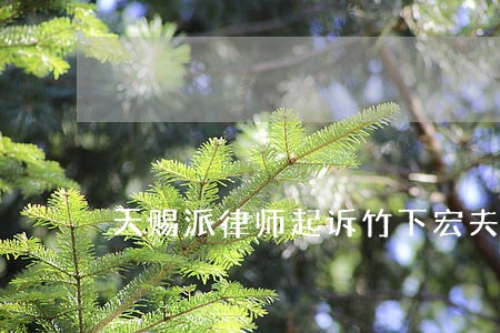 天赐派律师起诉竹下宏夫 天赐派律师起诉竹下宏夫