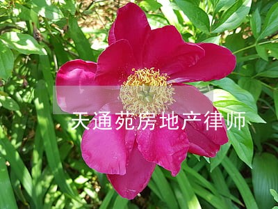 天通苑房地产律师 天通苑房地产律师