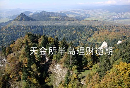 天金所半岛理财逾期 天金所半岛理财逾期