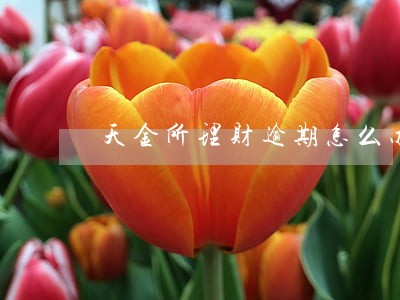 天金所理财逾期怎么办 天金所理财逾期怎么办