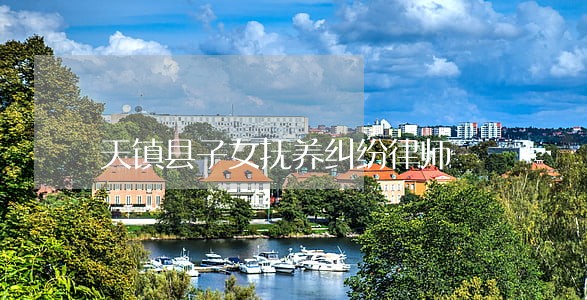 天镇县子女抚养纠纷律师 天镇县子女抚养纠纷律师