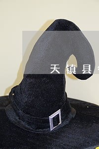天镇县律师收费标准 天镇县律师收费标准