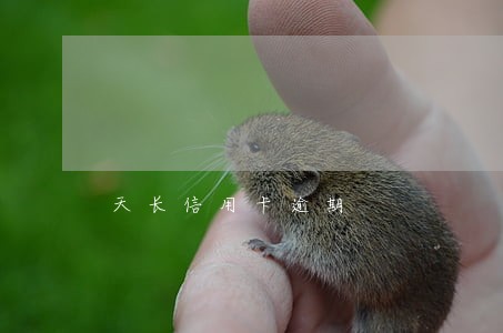 天长信用卡逾期 天长信用卡逾期