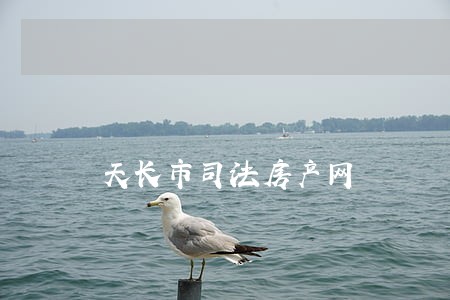 天长市司法房产网 天长市司法房产网