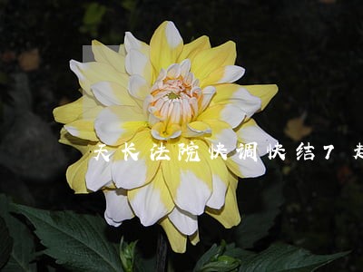 天长法院快调快结7起欠薪案 天长法院快调快结7起欠薪案