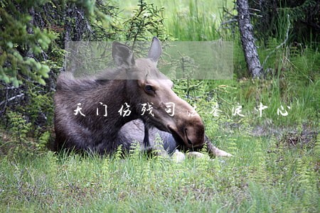 天门伤残司法鉴定中心 天门伤残司法鉴定中心