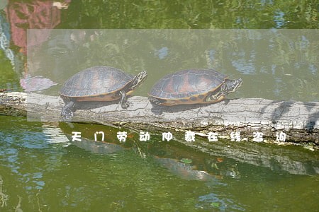 天门劳动仲裁在线咨询 天门劳动仲裁在线咨询