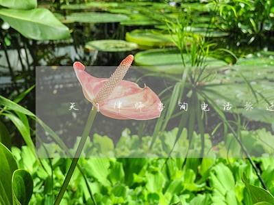 天门律师咨询电话拆迁 天门律师咨询电话拆迁