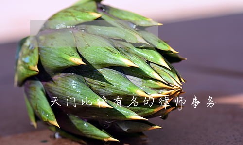 天门比较有名的律师事务