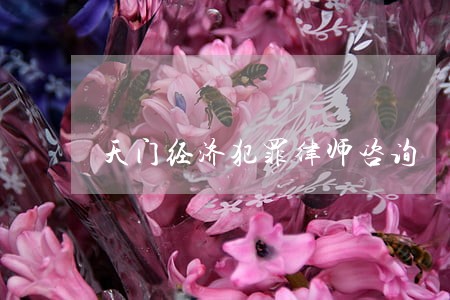 天门经济犯罪律师咨询