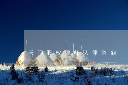 天门股权律师法律咨询 天门股权律师法律咨询
