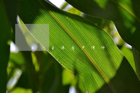 天门资深房产律师 天门资深房产律师