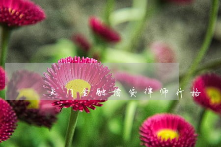 天门金融借贷律师价格 天门金融借贷律师价格