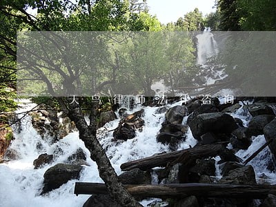 天鸟律师法律咨询 天鸟律师法律咨询